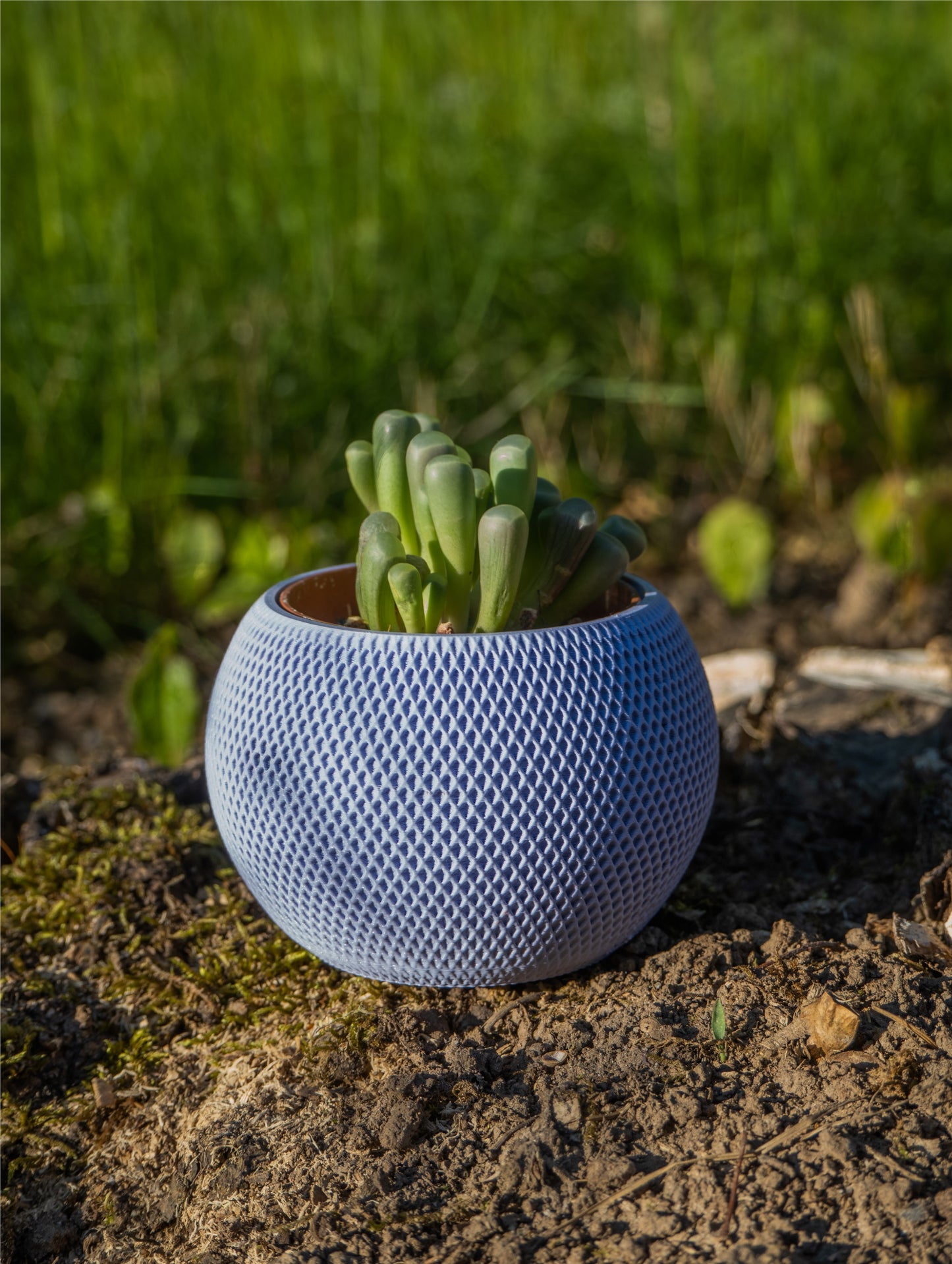 Blumentopf im Homepod design