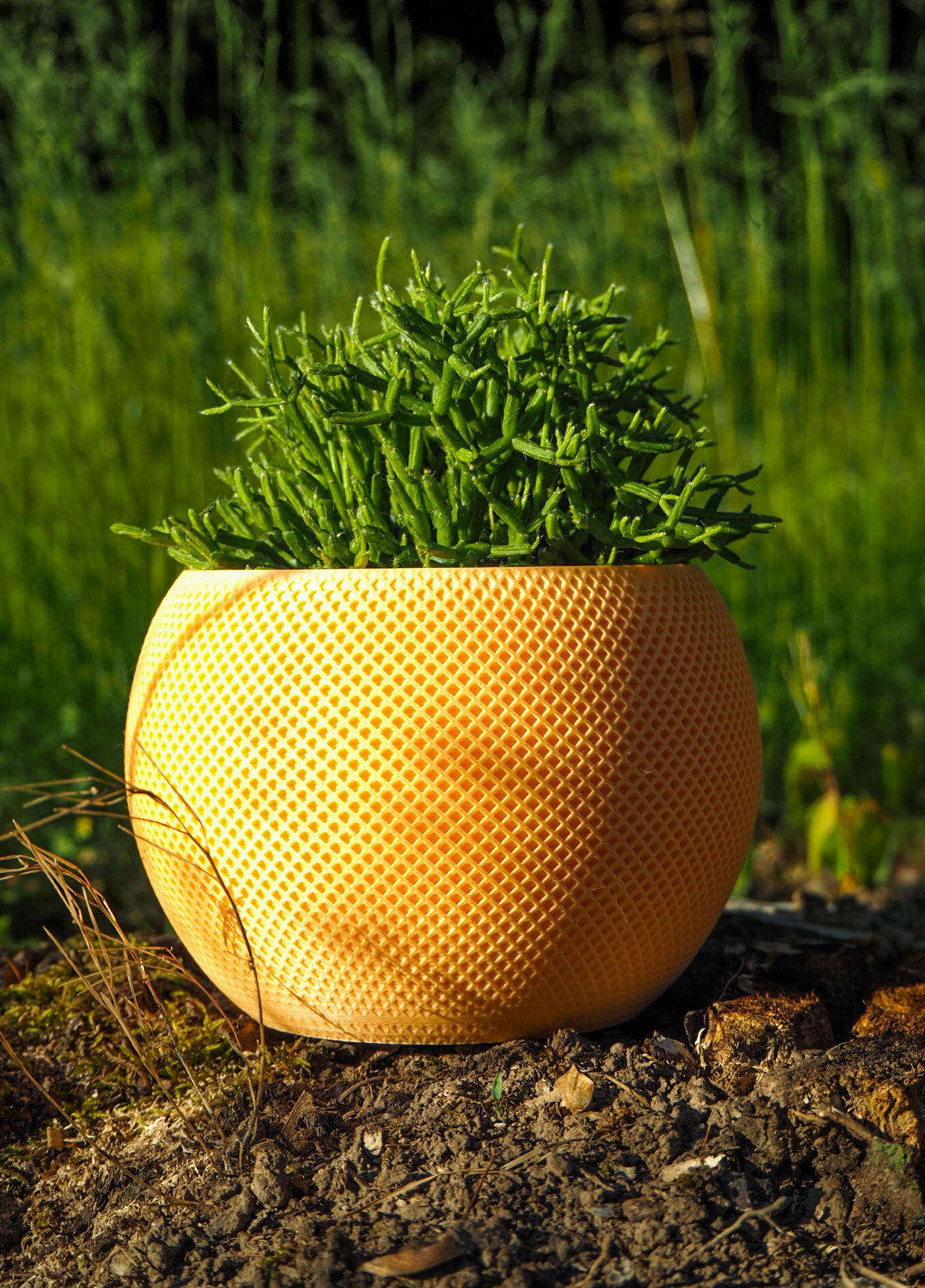 Blumentopf im Homepod design