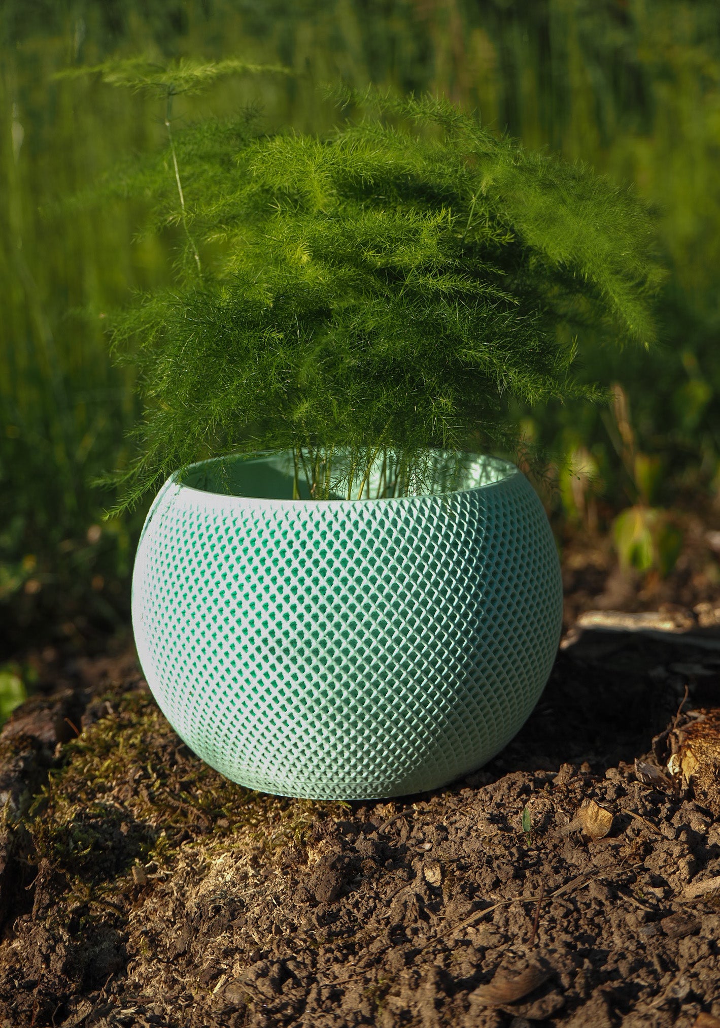 Blumentopf im Homepod design